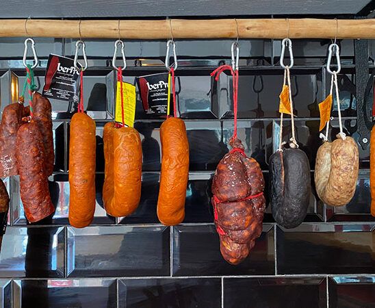 {{brizy_dc_image_alt imageSrc=